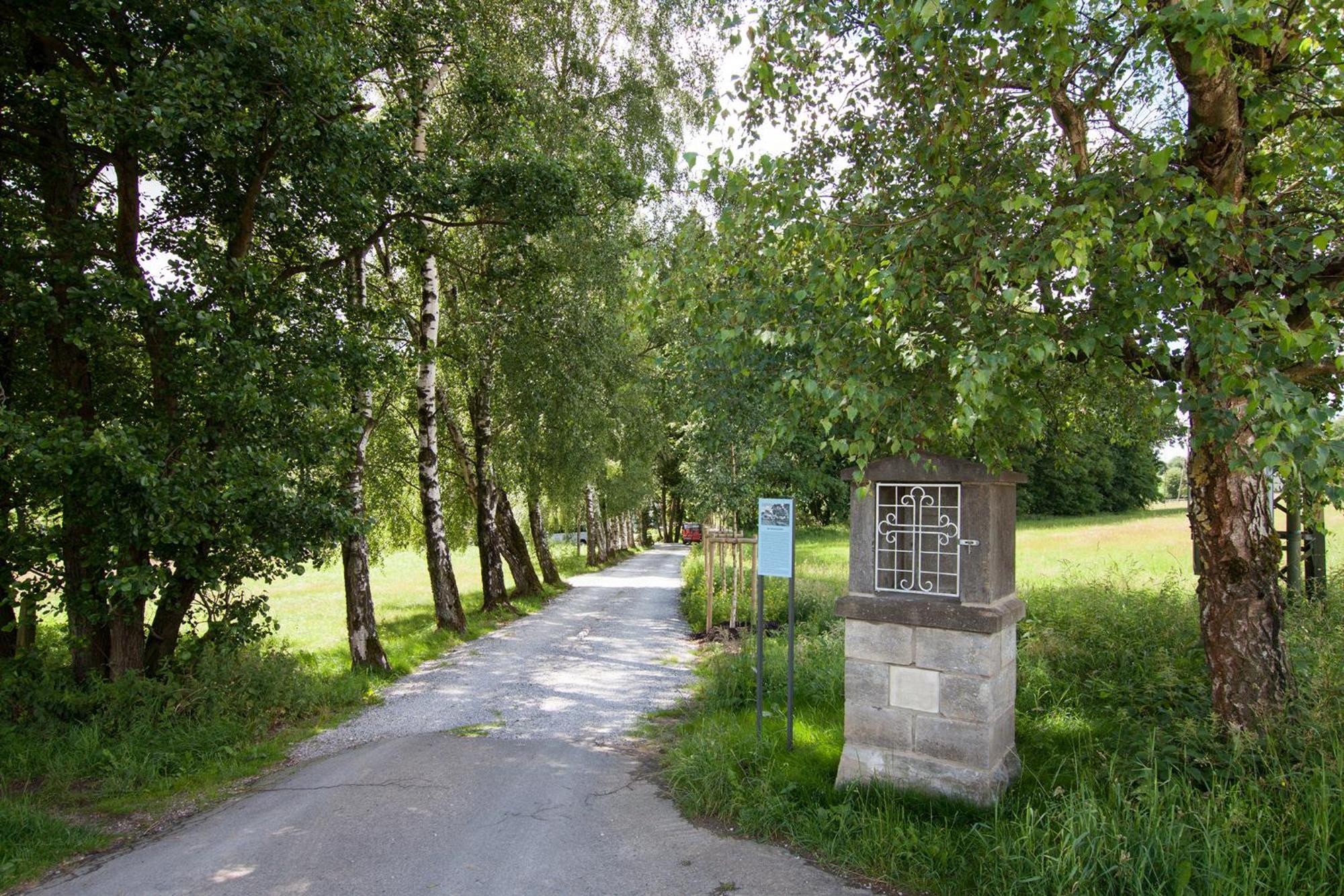 Michels Muehle - Wieder Land Sehen Brilon Buitenkant foto